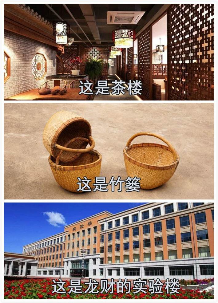 说明: IMG_266
